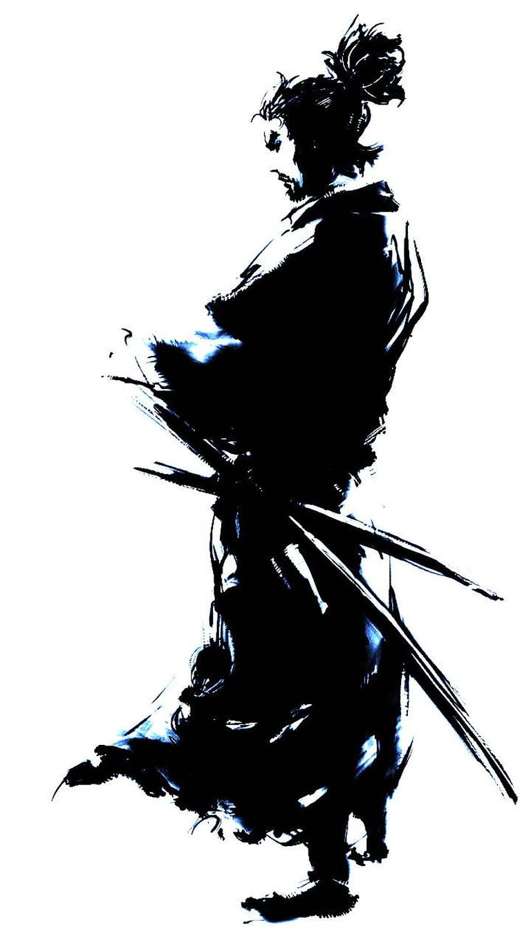 musashi contacto shinseikan