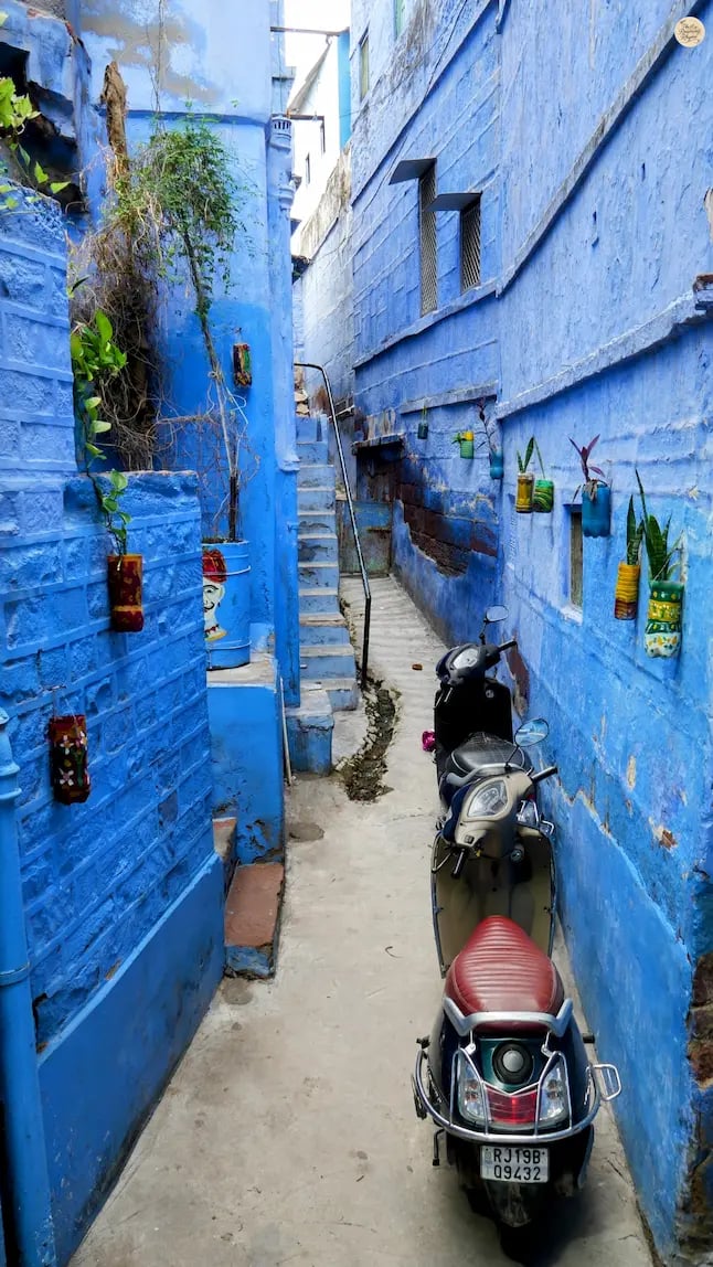 Narrow blue-painted street in Jodhpur, reflecting the vibrant culture and heritage of Rajasthan’s Blue City.