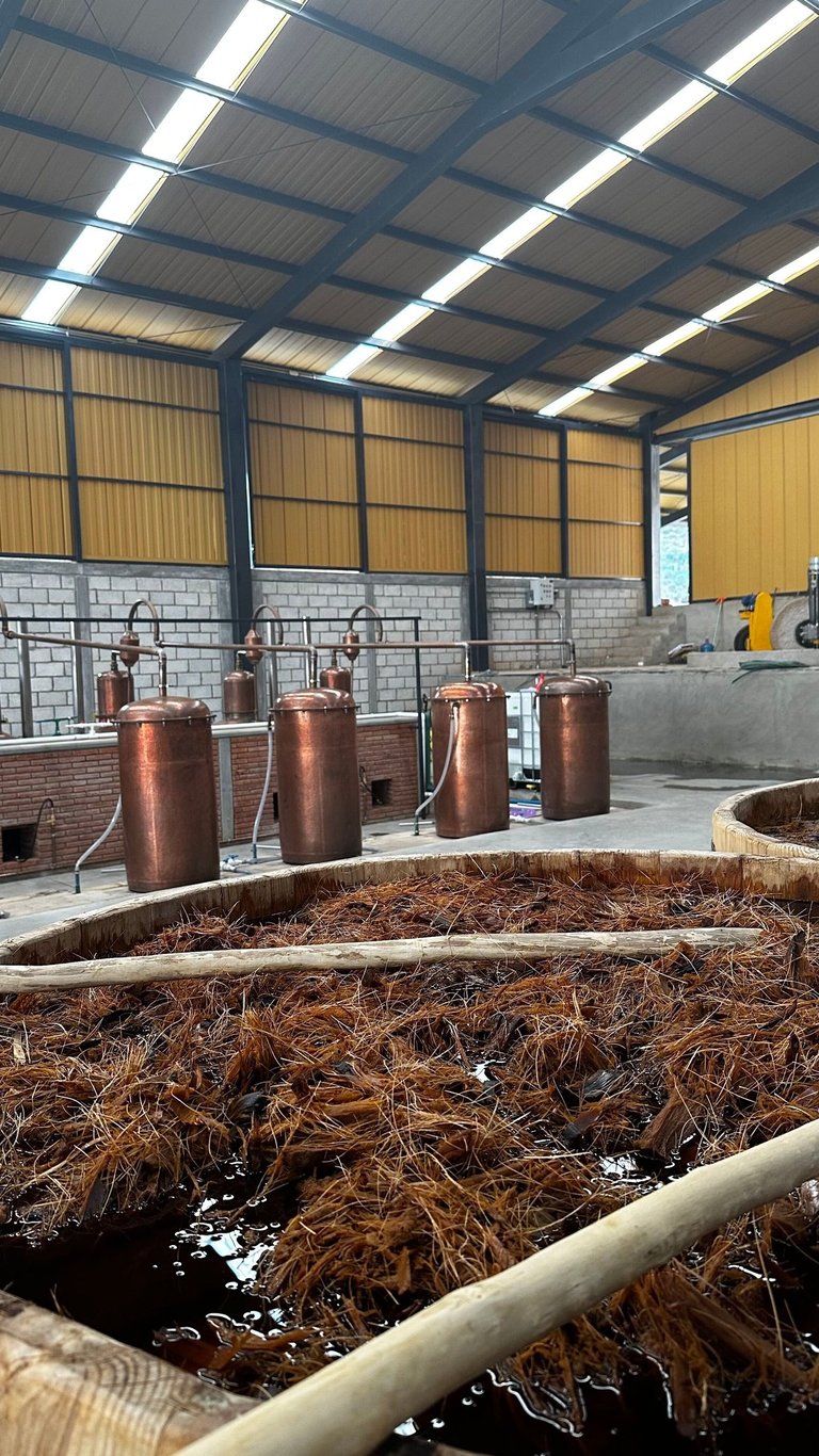 fábrica de mezcal