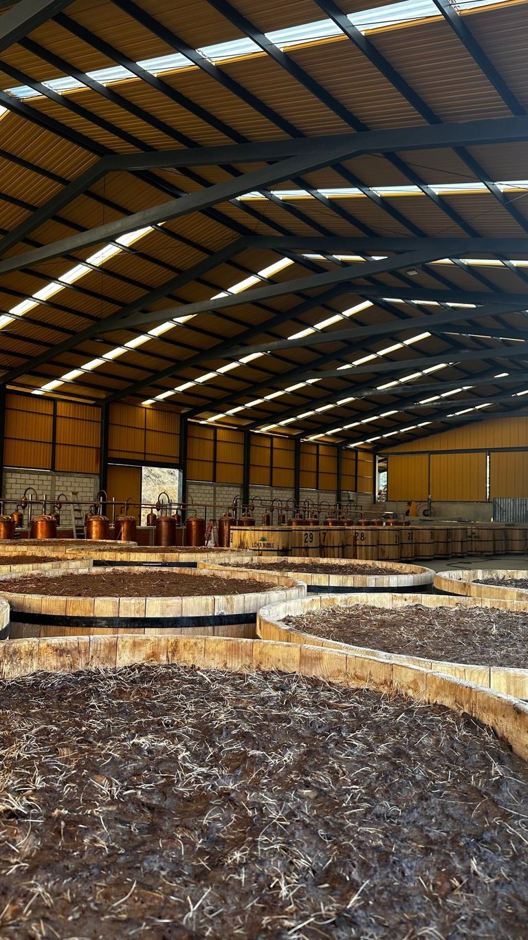 mezcal factory