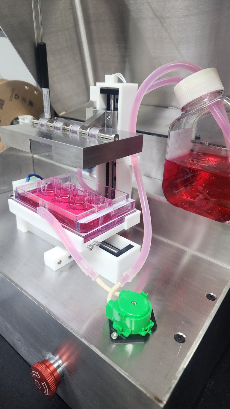 bioreactor, biomimetic, compression bioreactor