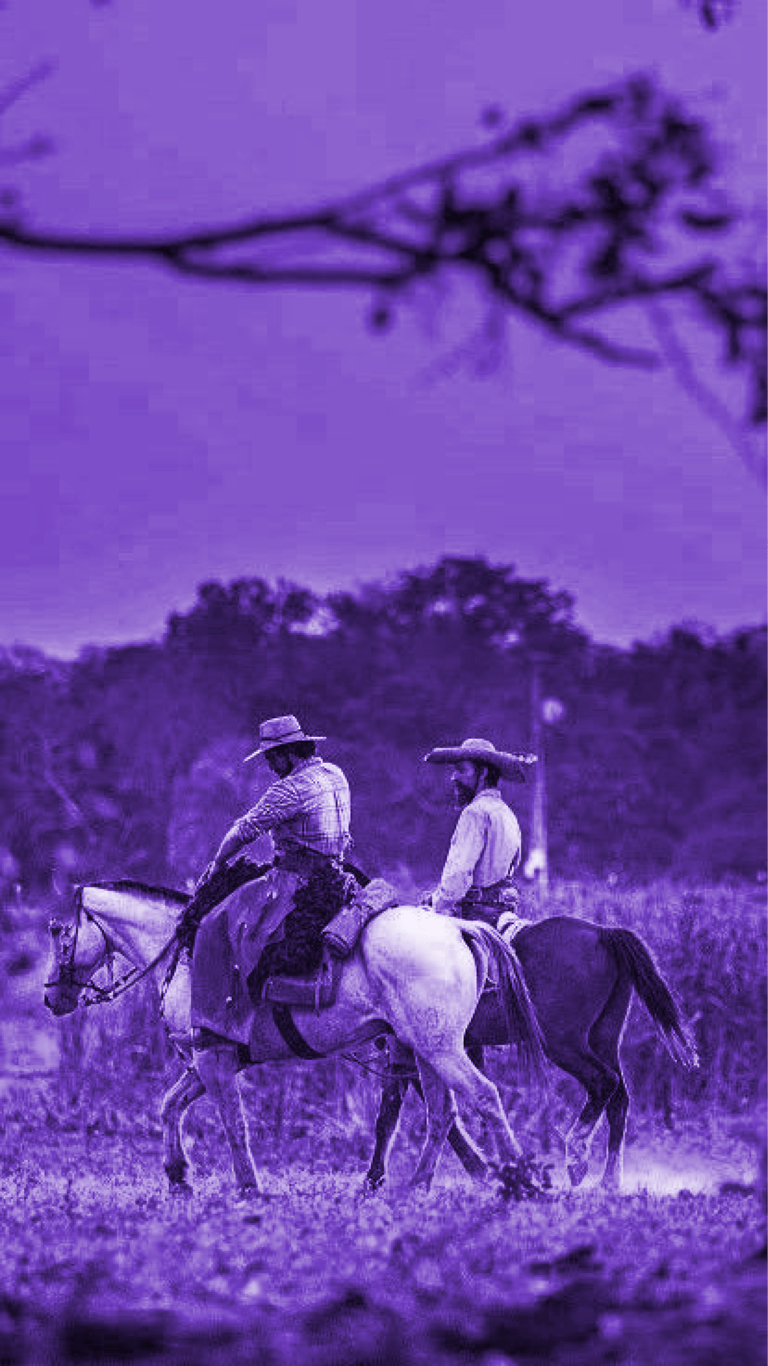 Foto de boiadeiros campeando