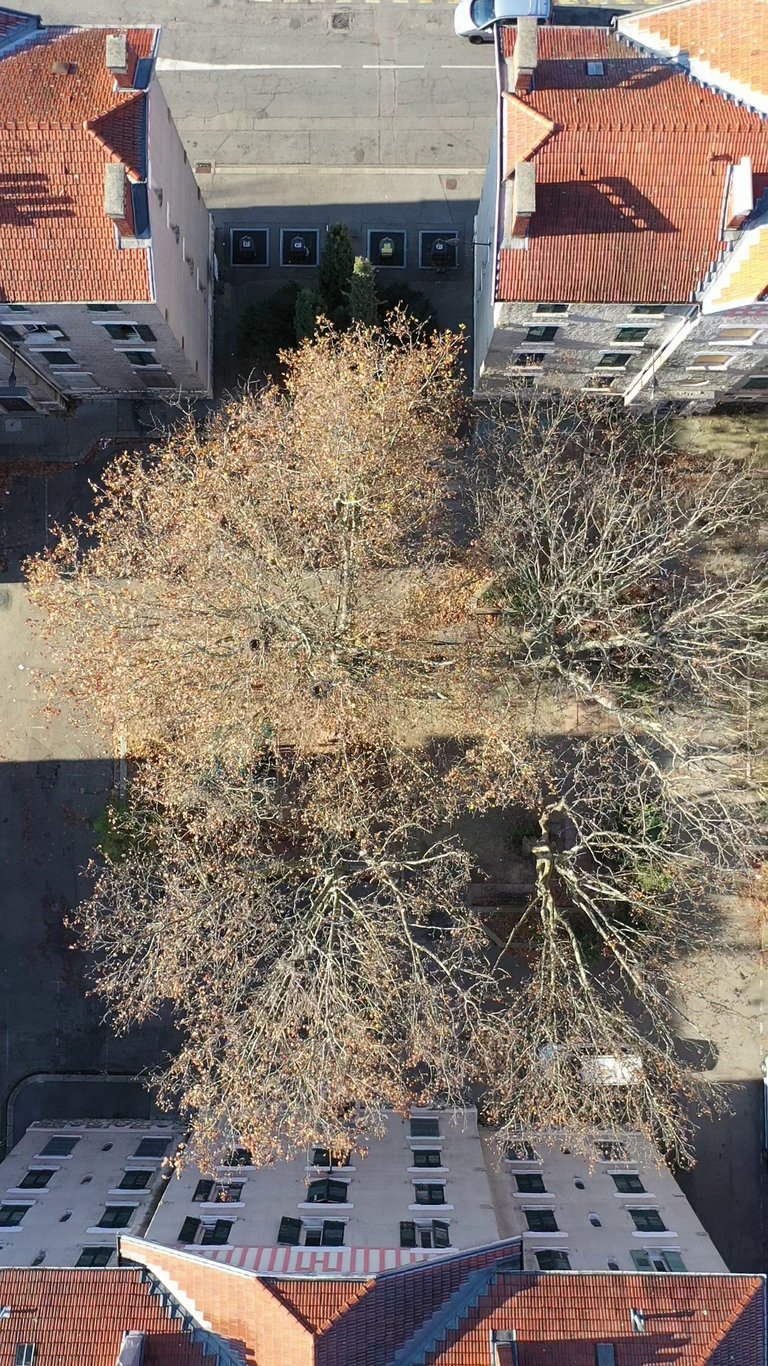 Cité Abbaye Grenoble vue du ciel