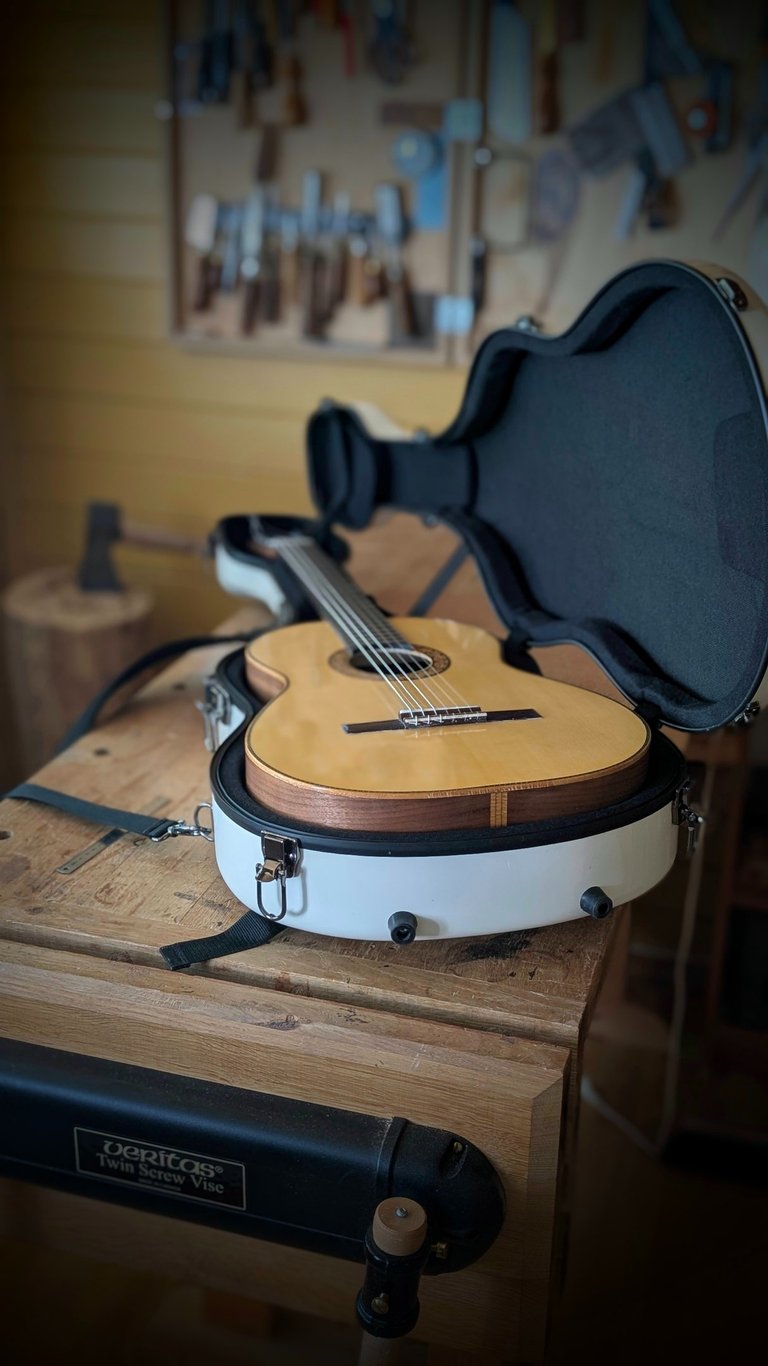 handmade guitar in case