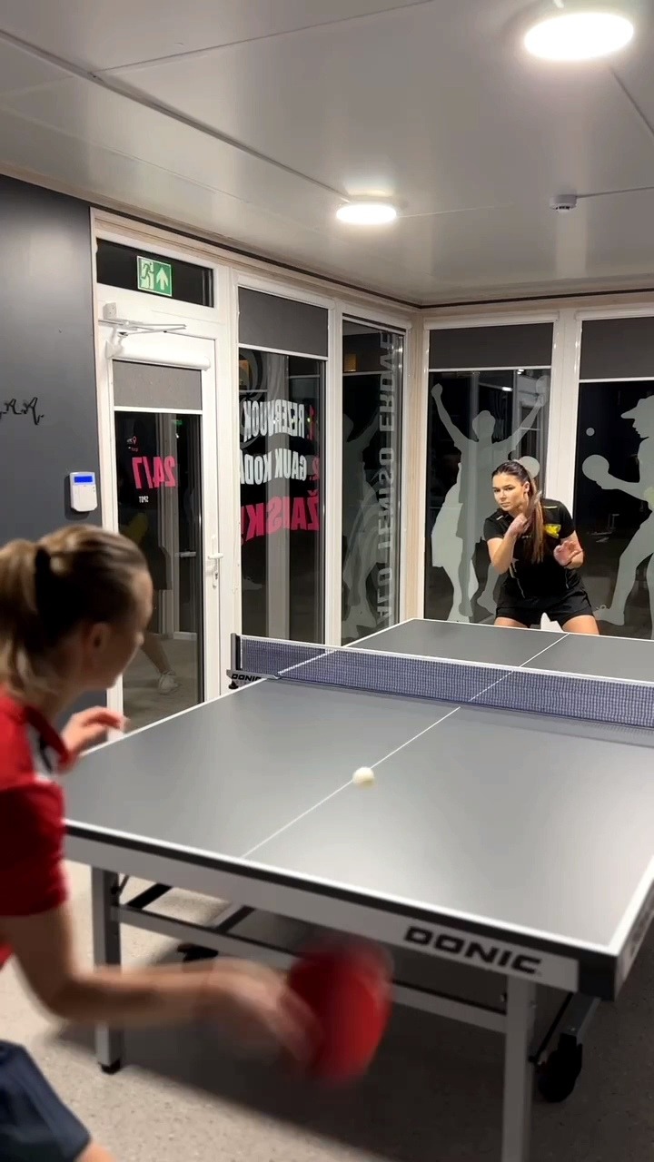 Stalo tenisas Kaunas PING PONG SPOT