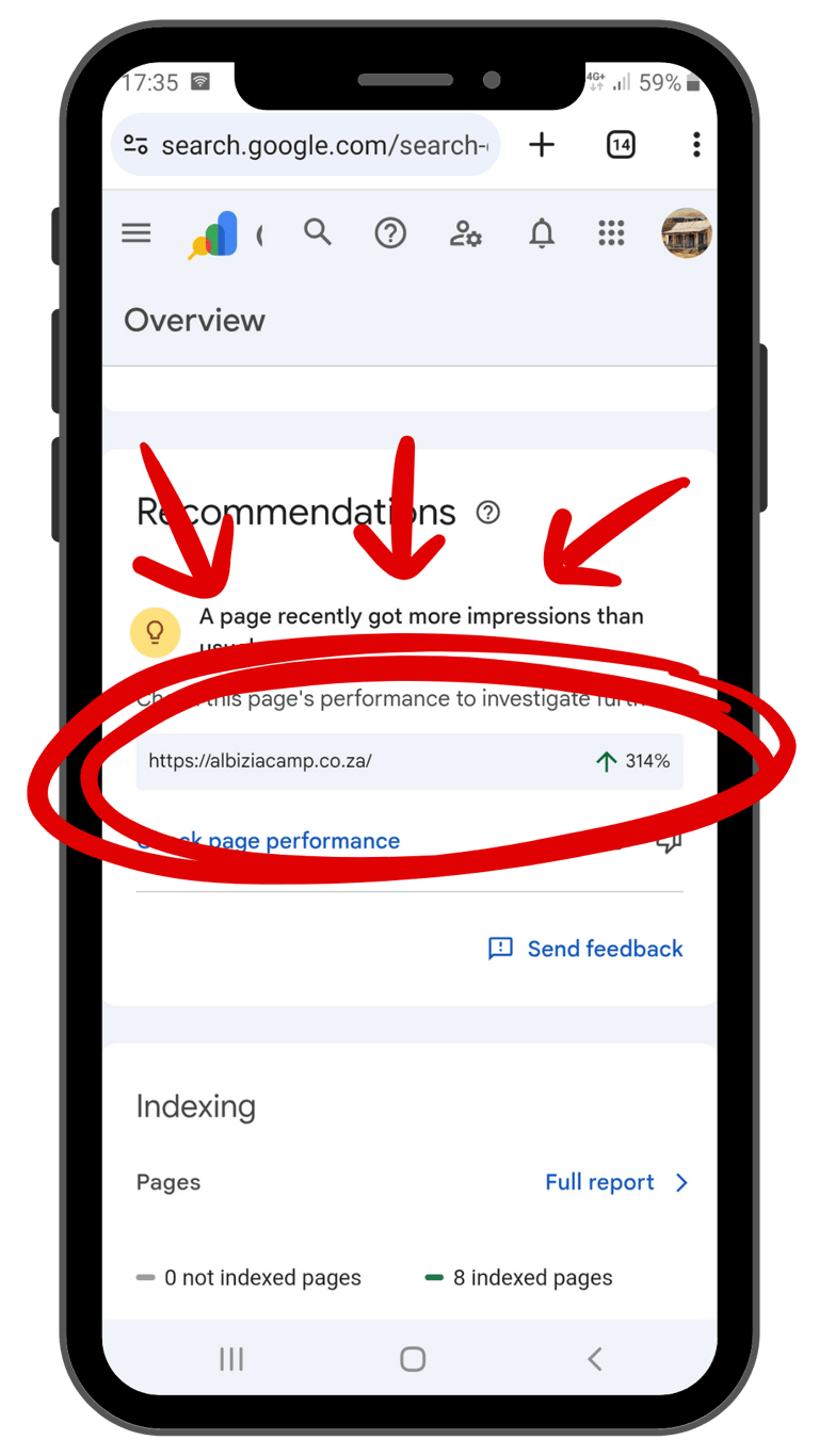 Real case study proof of schema success