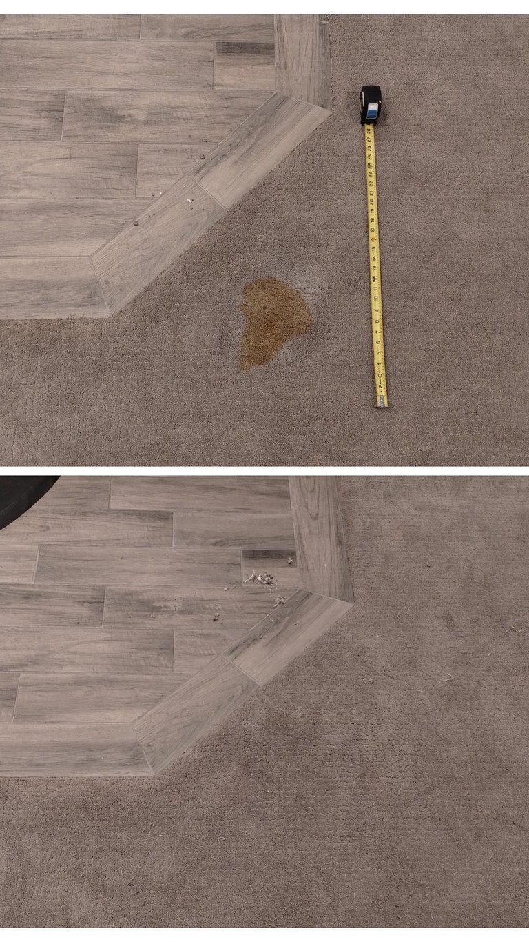 Large stain in patterned berber was removed and a new piece was seamlessly patched in Lindon, UT.