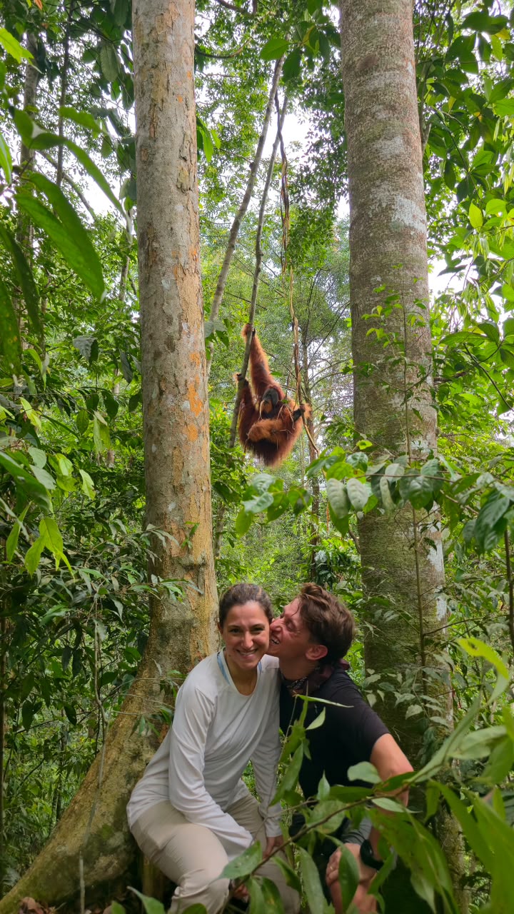 Bukit Lawang Trekking Itinerary