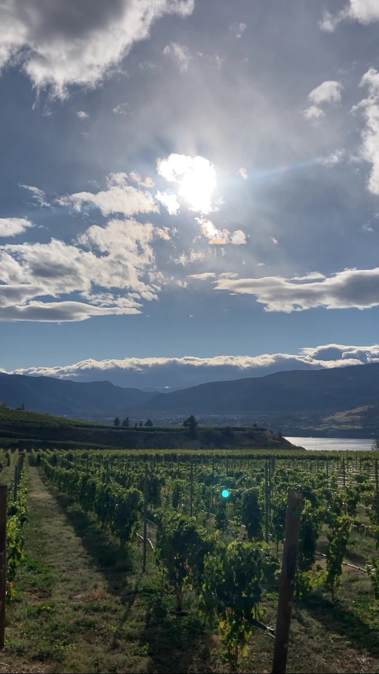 Data analysis and research notes used for storytelling and insight