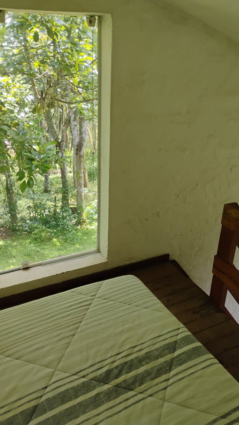 As abertura te conectam com a mata