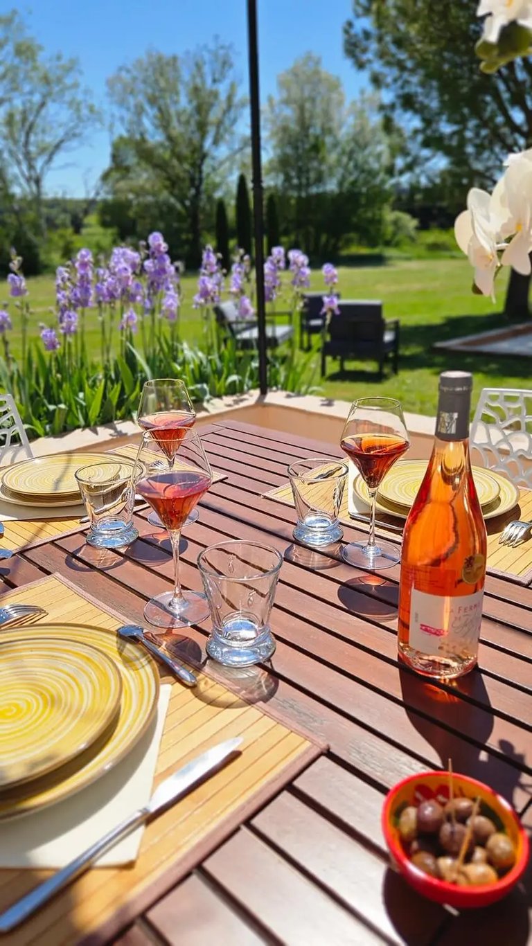 table extérieur dressée sur la terrasse avec le jardin et les iris en fleur, chambre hôte la ramade
