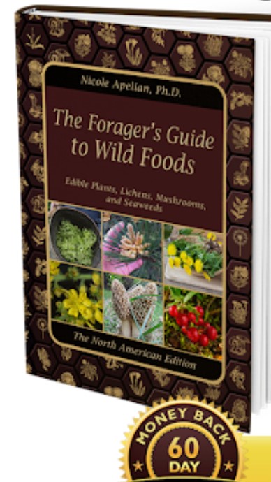 cover of guide to natural foods for survivalists and natural health enthusiasts
