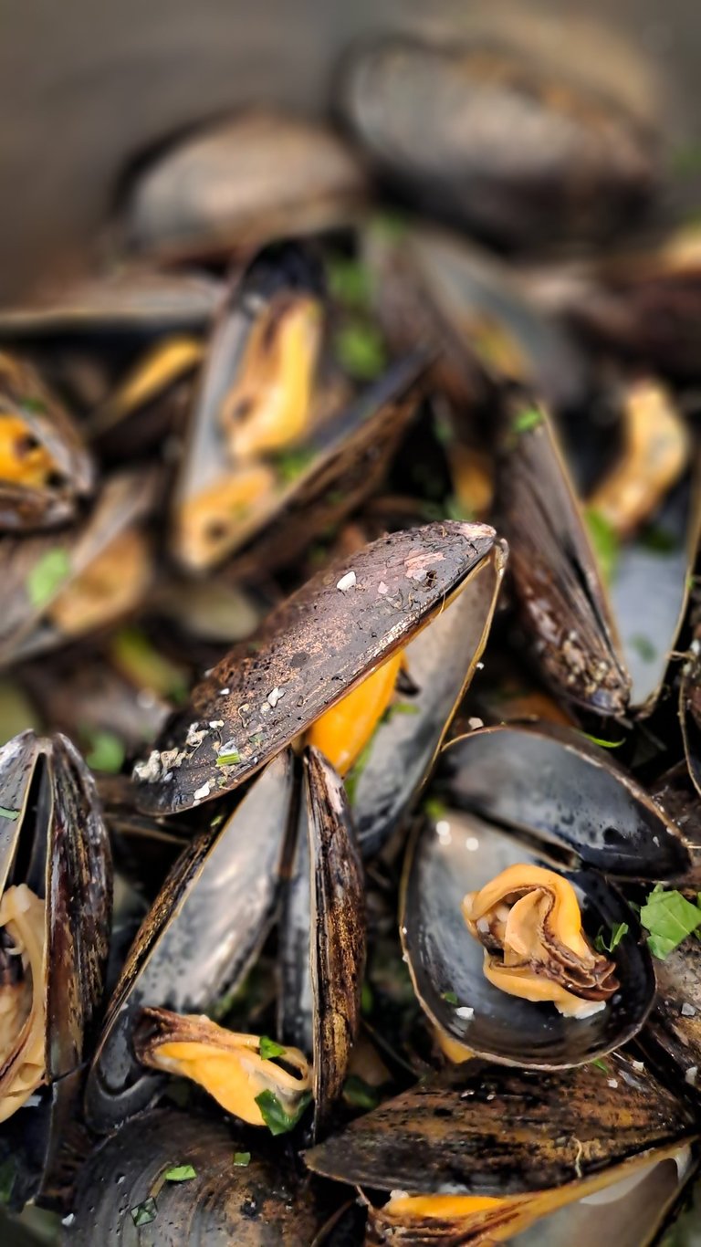 Steamed Mussels