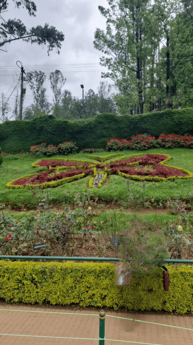 Image of the Rose Garden