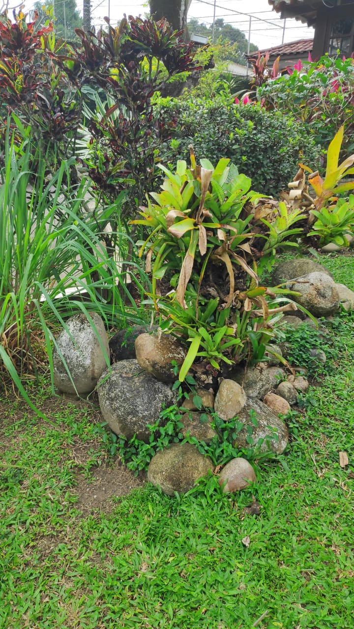 Jardins da Pousada