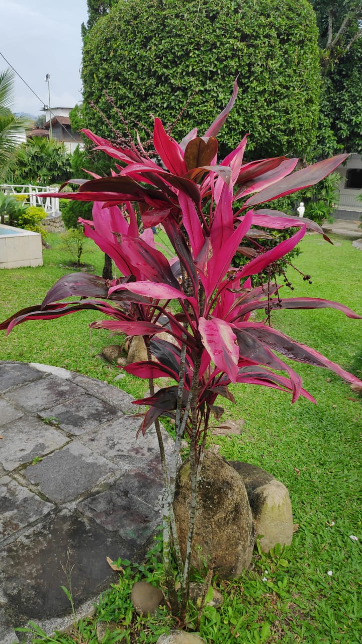 Jardins da Pousada