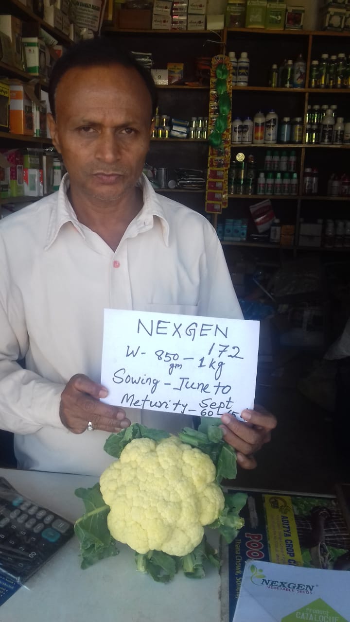 A shopkeeper holds a Nexgen 172 cauliflower and a sign detailing sowing and maturity dates.