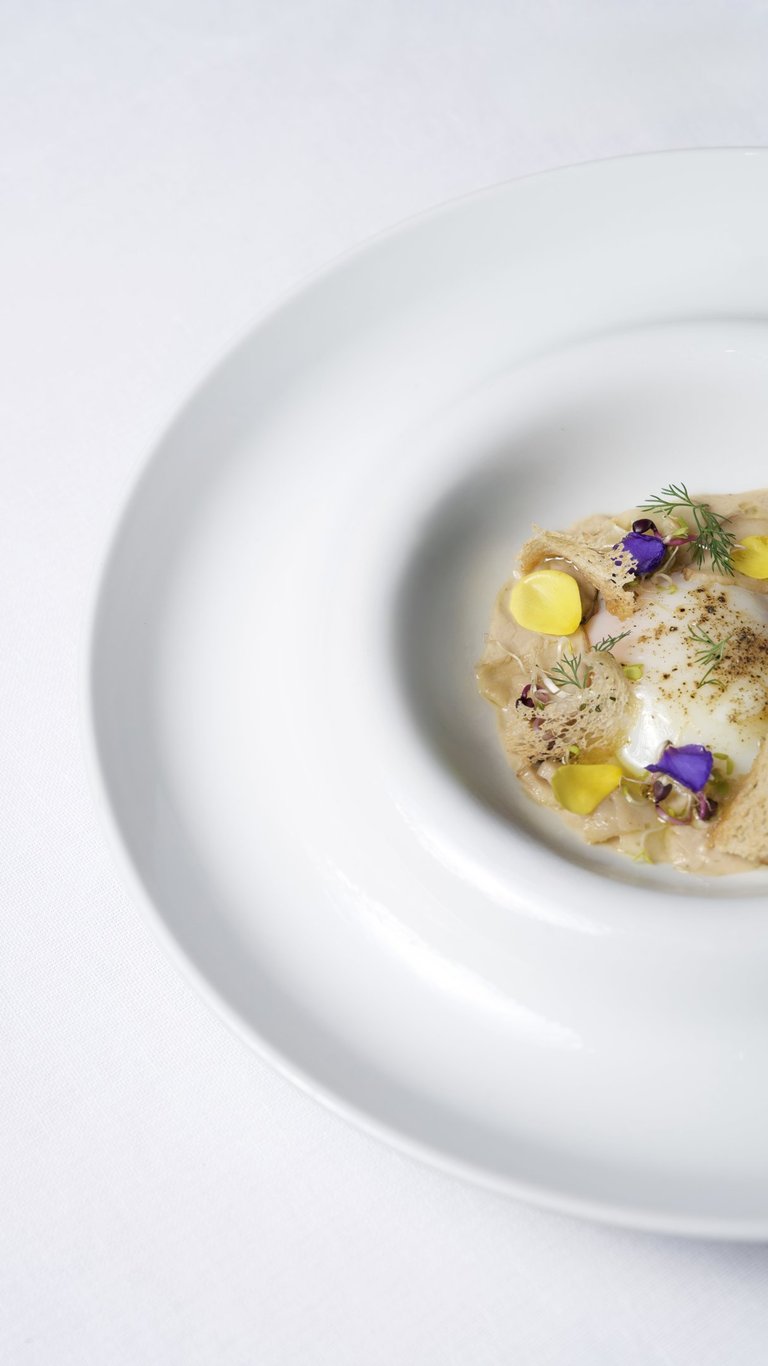 Uovo cotto a bassa temperatura con funghi porcini freschi - Low temperature egg with porcini mushroo
