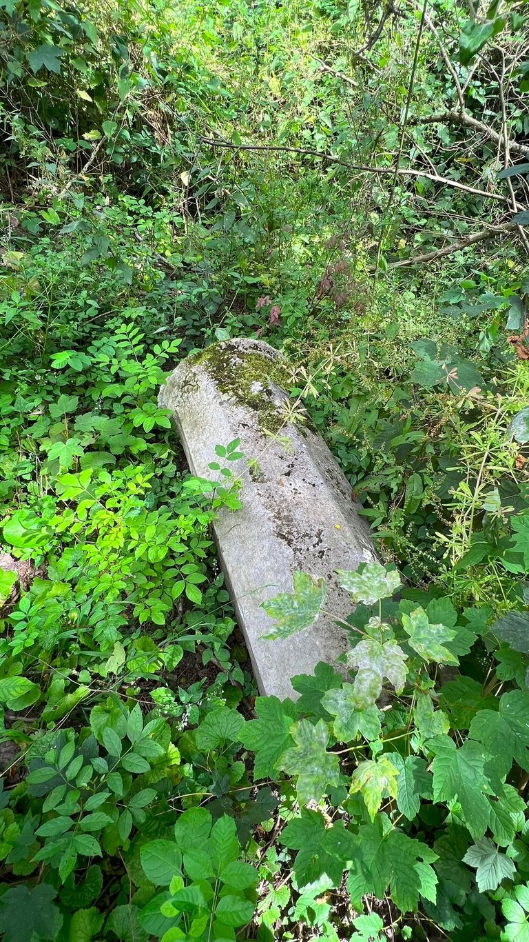 Afgebroken zuil, bedekt met bladeren en omringd door planten en bosgrond.