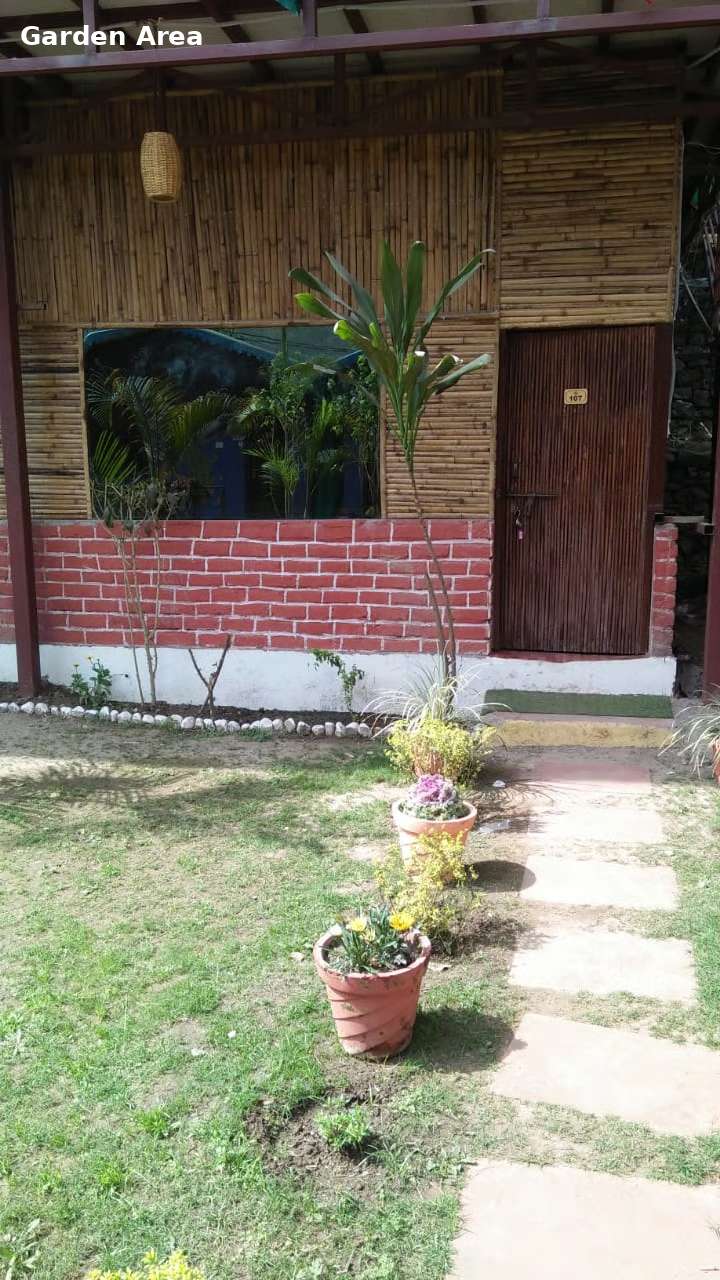 Bamboo Cottages at Jungle Lore Resort with plants and relaxing space
