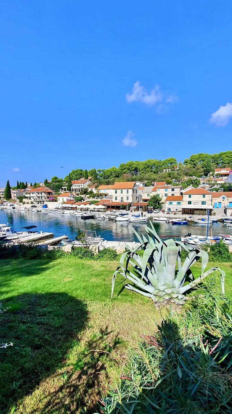 Panoramic view of traditional Dalmatian village of Maslinica, Solta during a SunMarine private boat tour from Split, Croatia.
