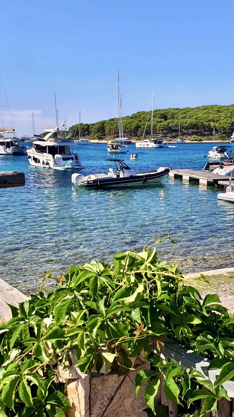 Nuova Jolly Exclusive RIB docked at Pakleni Islands during lunch break on a private boat tour from Split, Croatia.