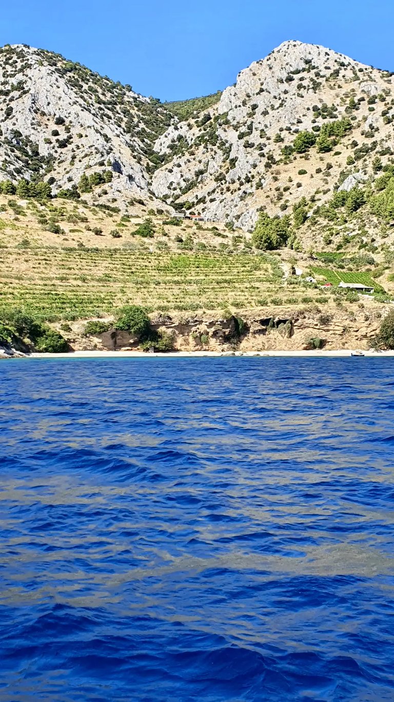 South hills with vineyards on Brac viewed from the sea during a private boat tour from Split