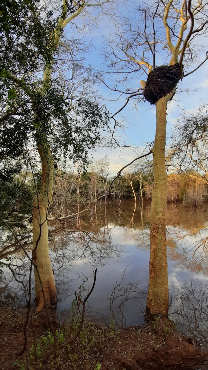 Dam near the Phinda river boundary at Albizia self catering tents and glamping in Hluhluwe