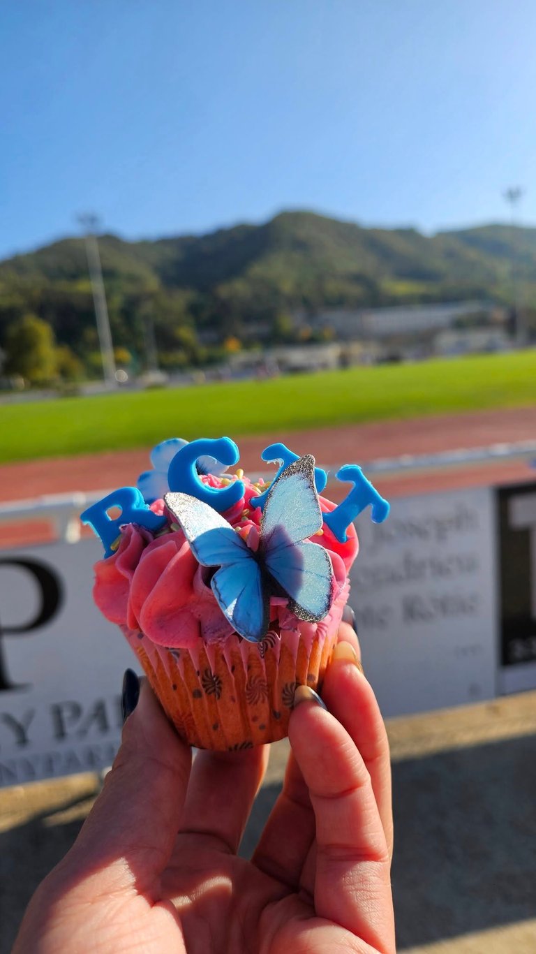 Photo d'un gâteau du RCTT