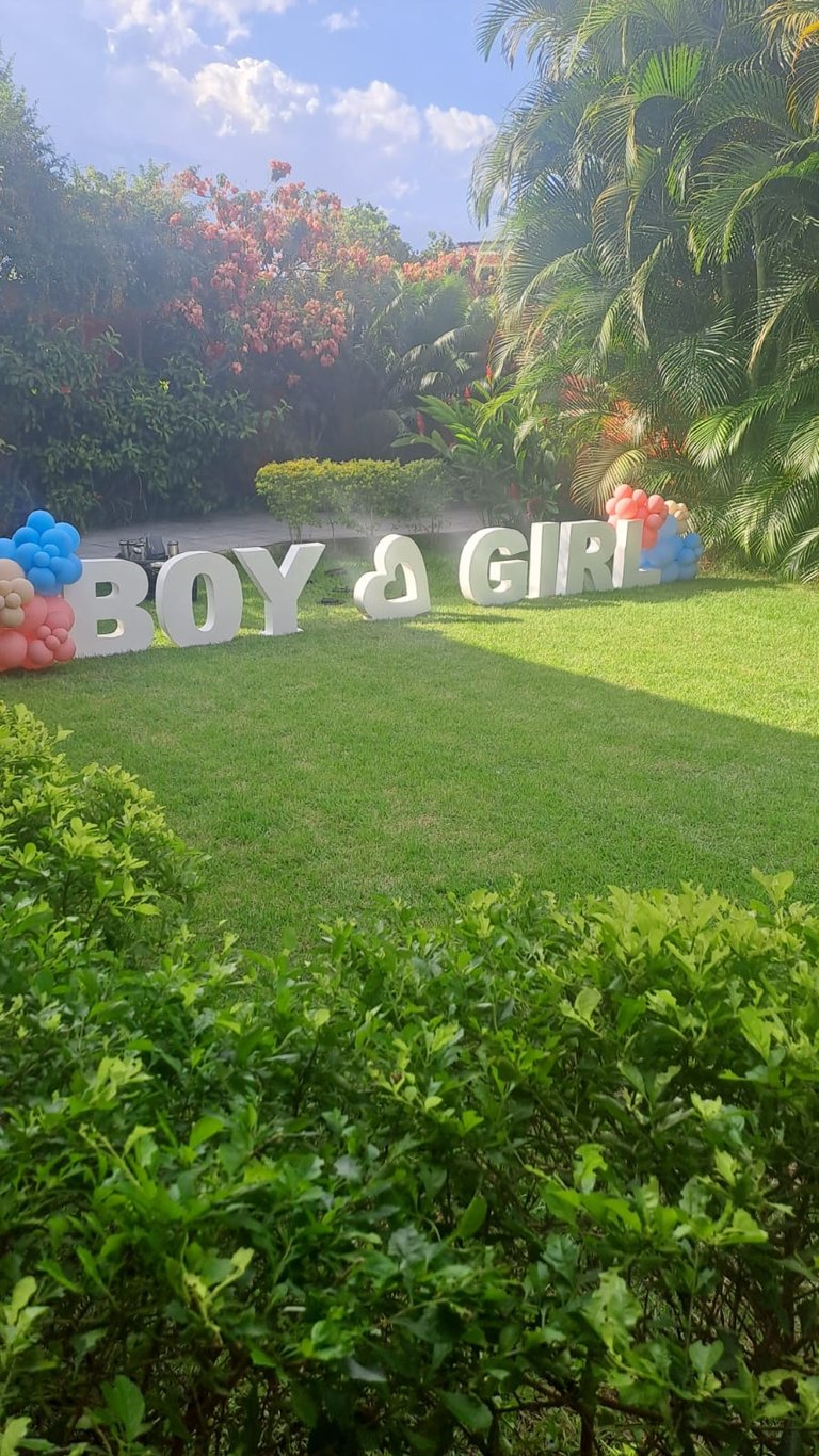 Ideia de decoração para chá revelação