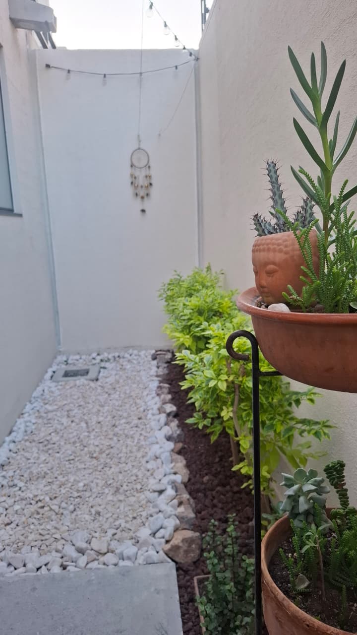 patio trasero remodelado con piedra marmol y plantas 