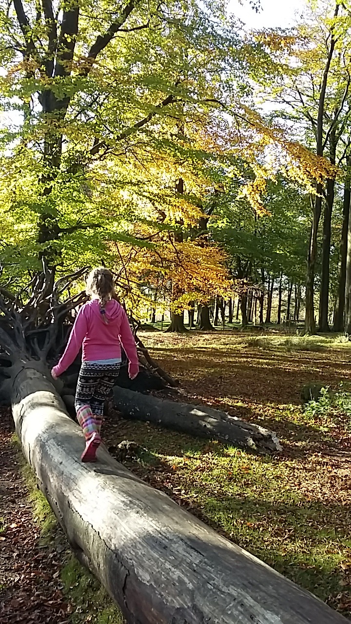 Trees