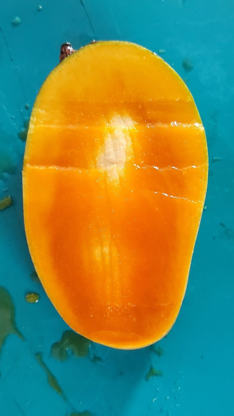 A fresh sliced half of a ripe yellow mango with juicy orange pulp, grown at Luro Grove, Miami.