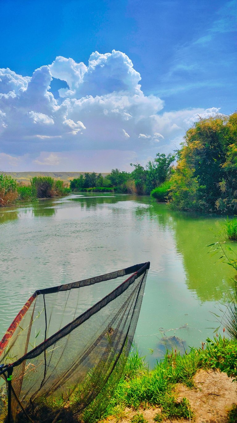 Bright river landscape with blue sky, white clouds, vivid green vegetation, and colorful water refle