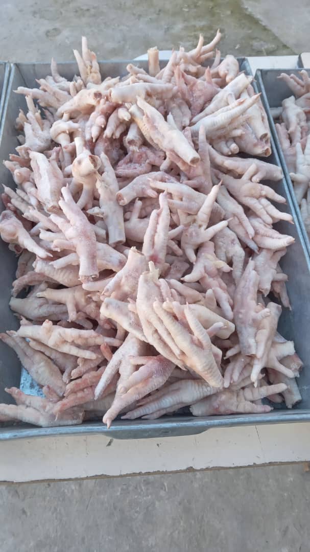 Chicken feet Exports by DGT
