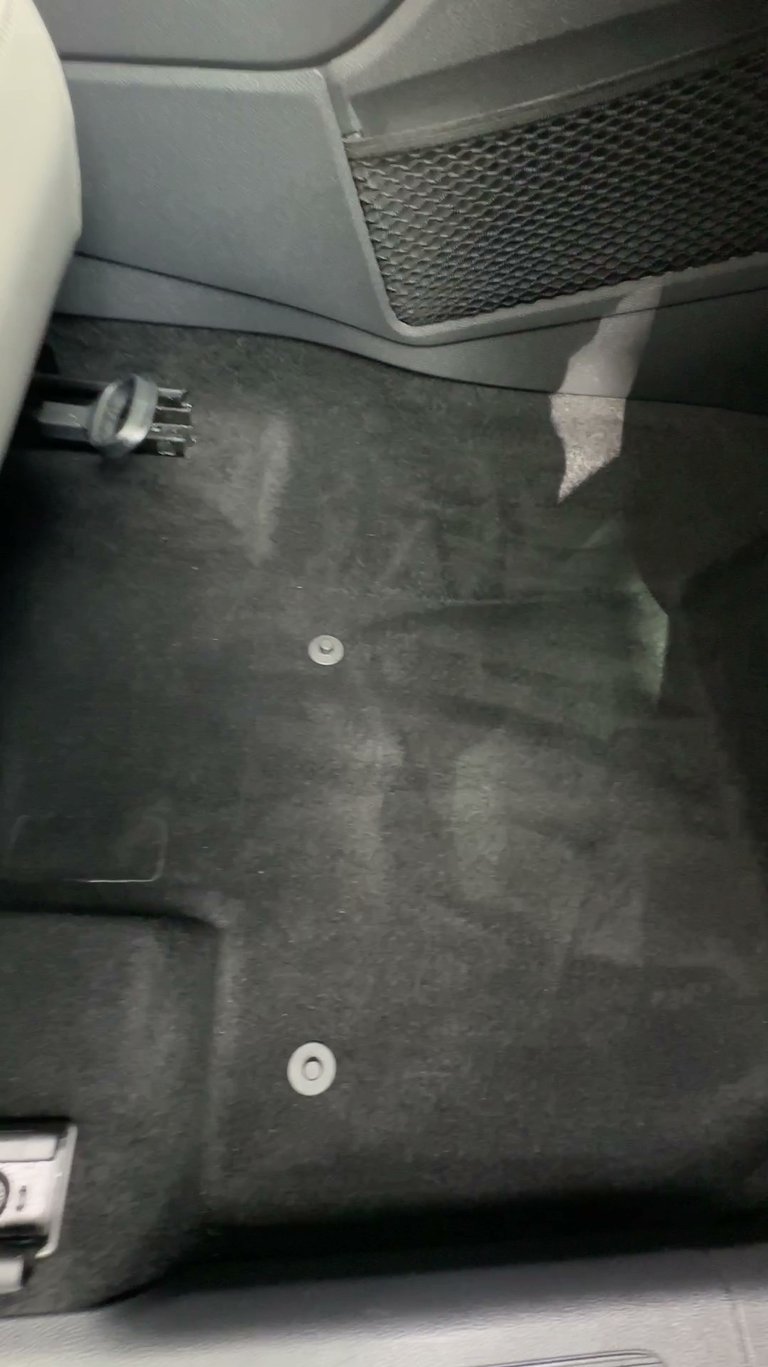 professionally cleaned carpet after mobile detailing