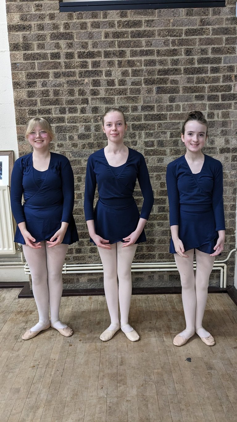 Three teenage ballet dancers in navy blue leotards and pink tights posing in a dance studio.
