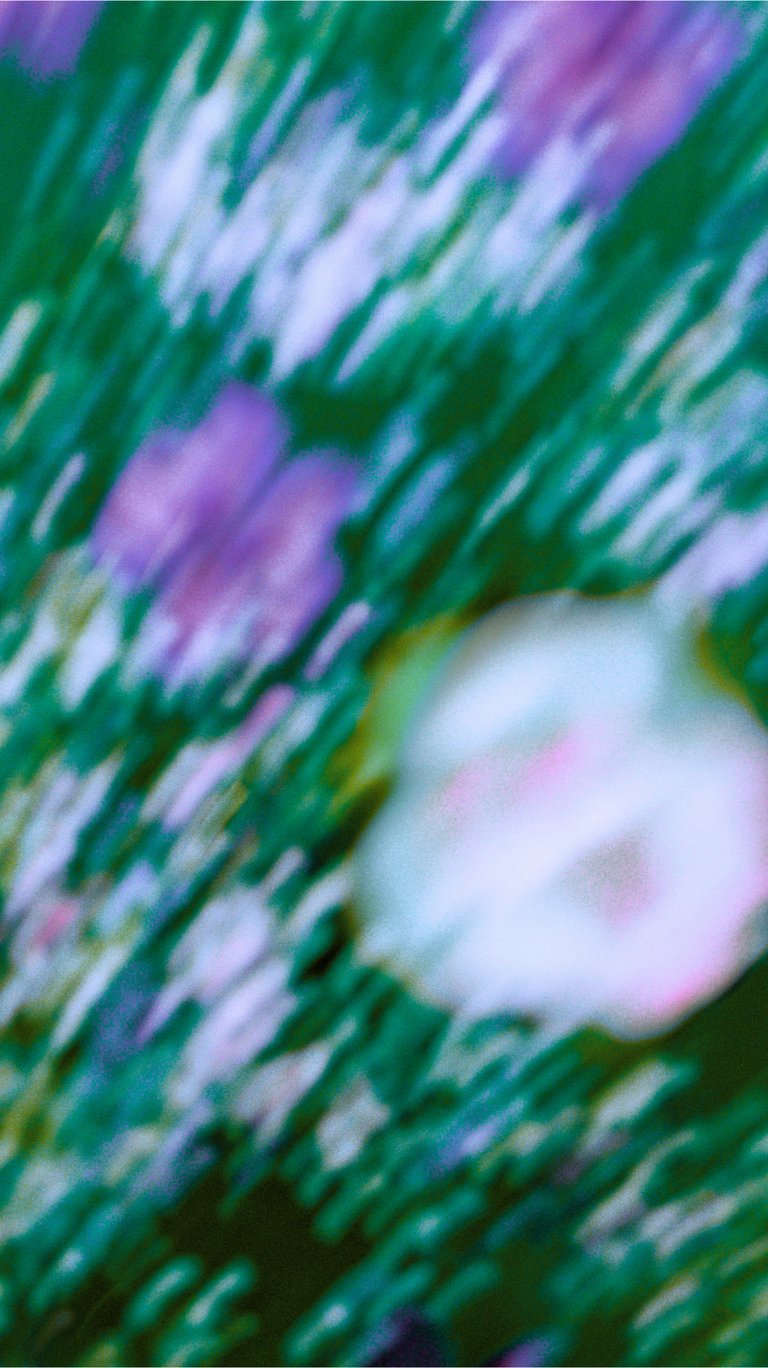 Abstract motion blur of purple and white flowers in a green summer field.