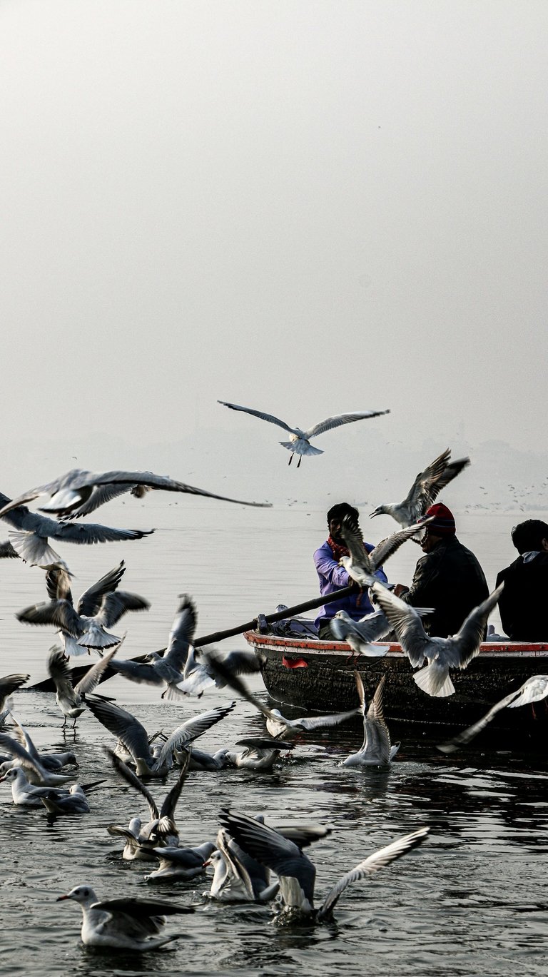 Morning Boat Ride Namo Ghat to Manikarnika Ghat