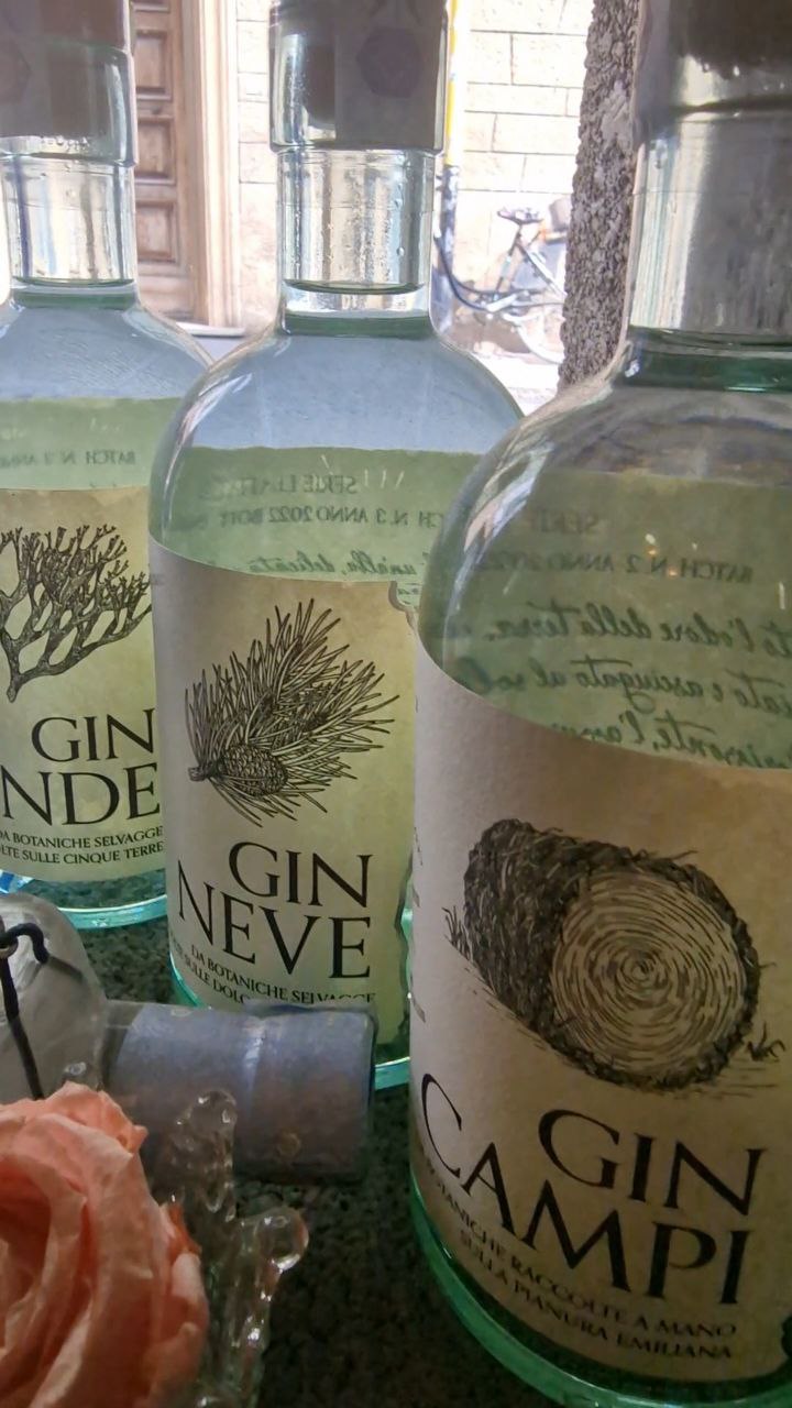 Gin premium Terra Wild Spirits selezione per locali notturni mixology