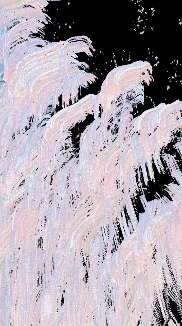 digital art, video installation,  joanna wlaszyn