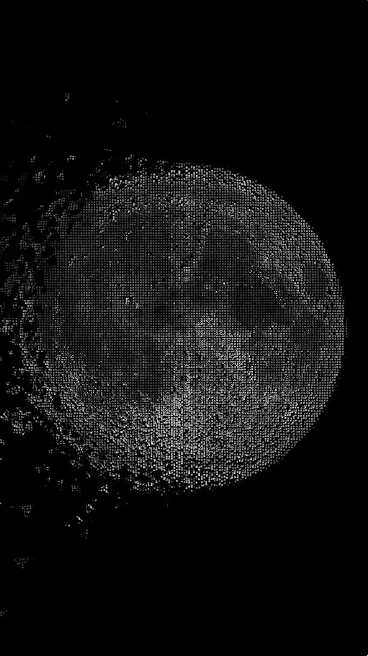 digital art, video installation,  joanna wlaszyn