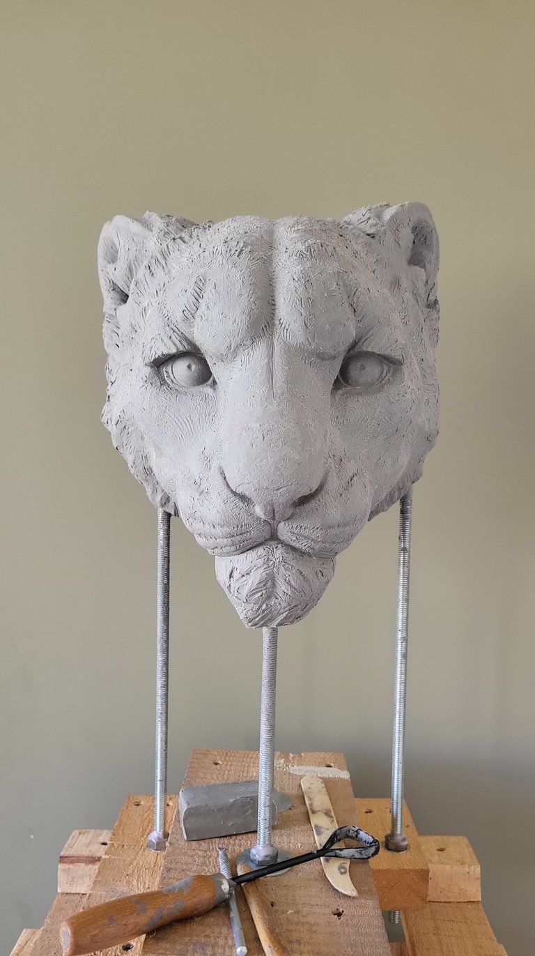 Clay snow leopard head.