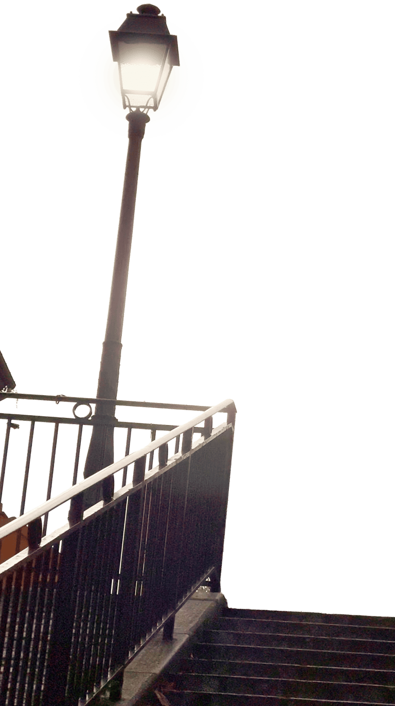 capter l'attention des réseaux sociaux