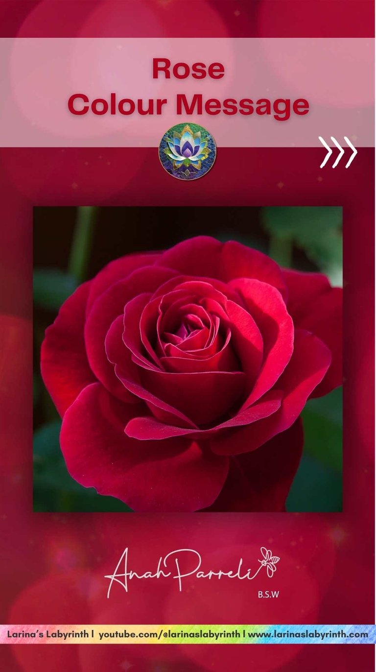 Colour Messasges: Power of the colour Rose. Colour Healing. Color healing.