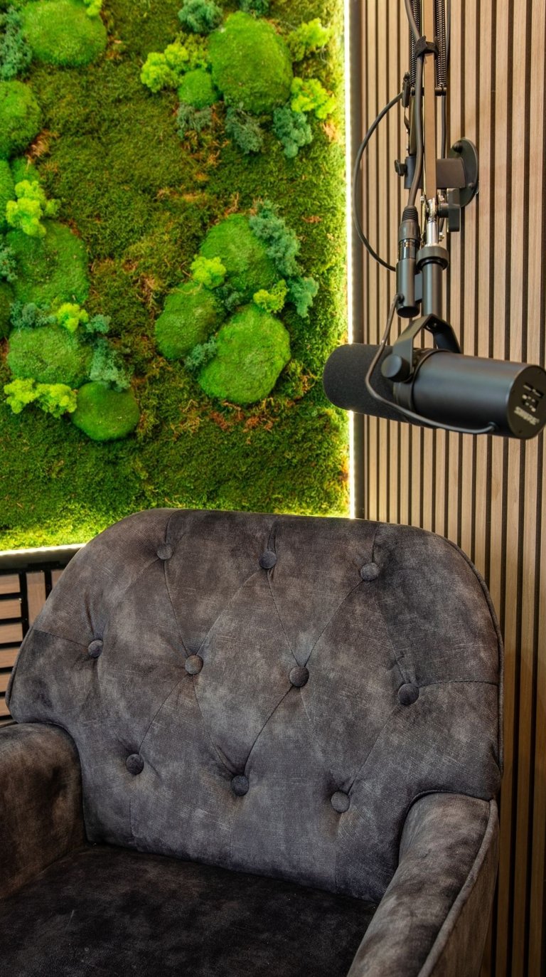 a chair with a microphone and a mosself