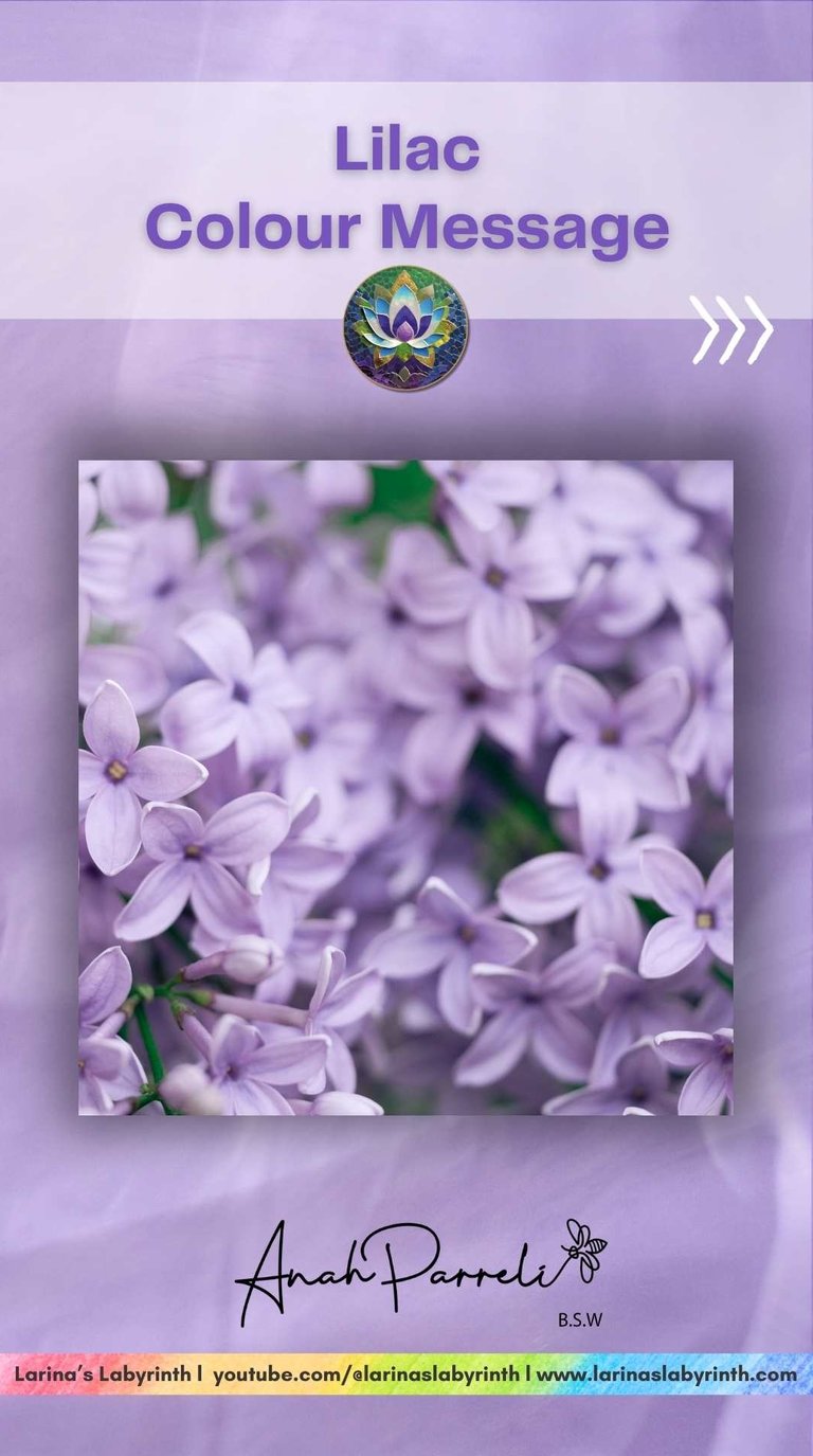 Colour message: Power of Purple Lilac. Colour Healing, Color Healing