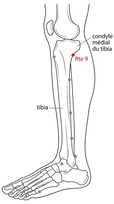 schéma du point d'acupuncture Rate 9