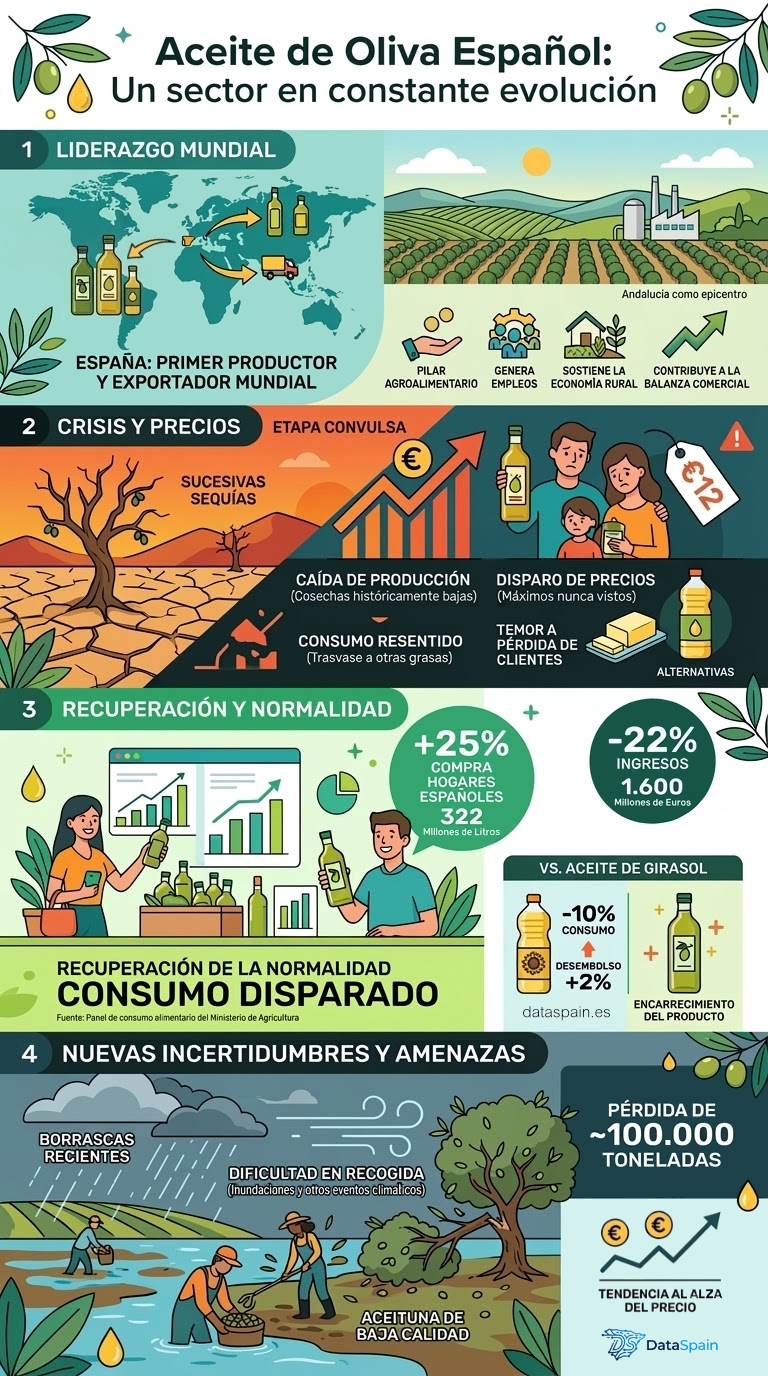 Infografía del Aceite de Oliva en España 2026: Consumo, Precios y Amenazas Climáticas