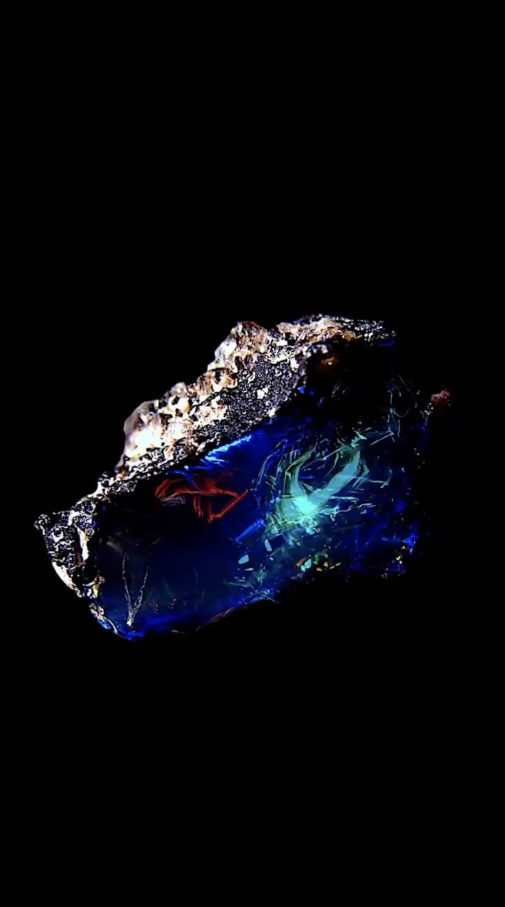 digital art, video installation,  joanna wlaszyn